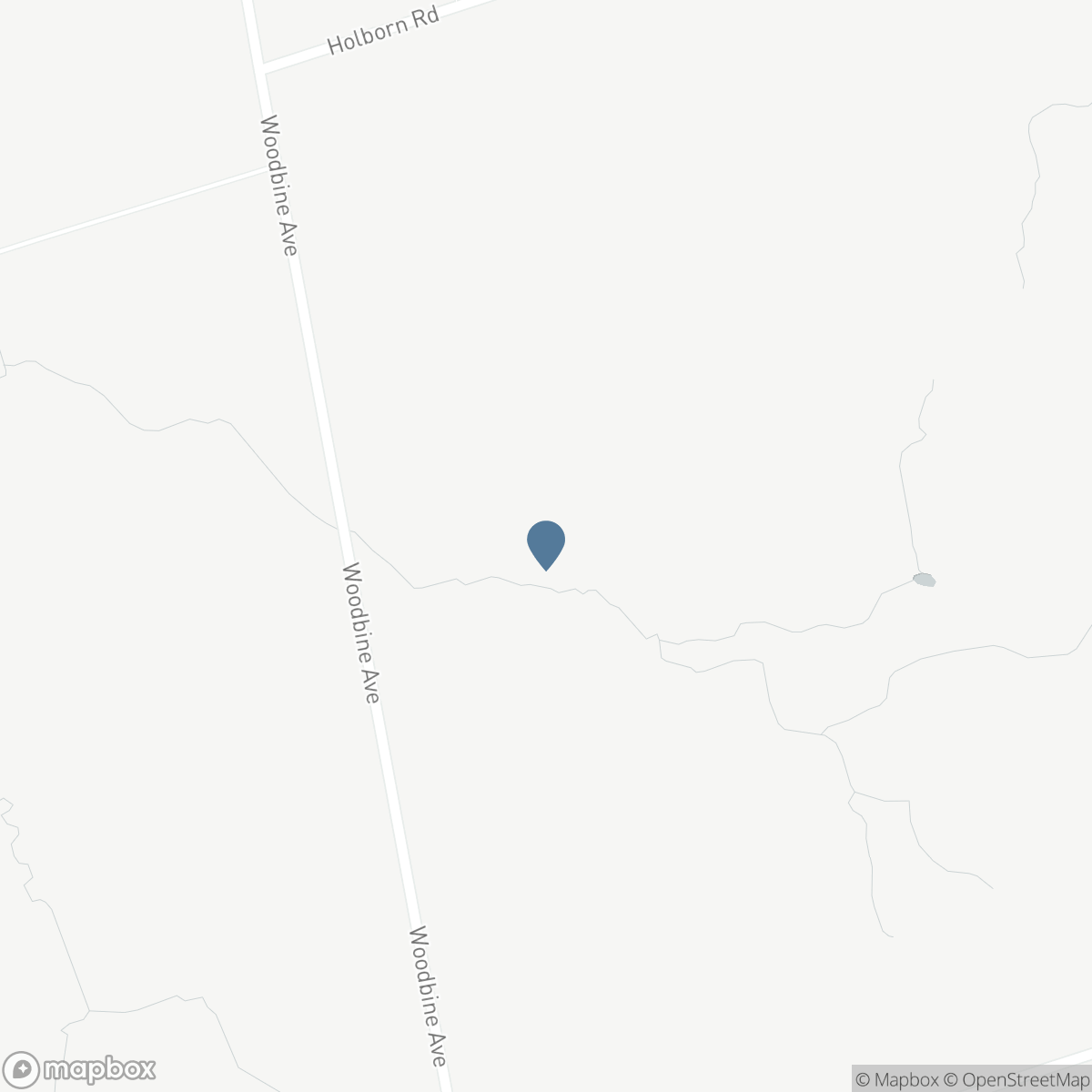 20893 WOODBINE AVENUE, East Gwillimbury, Ontario L0G 1R0